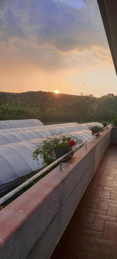Casa Vacanze Cerreto 3 Miglianico المظهر الخارجي الصورة