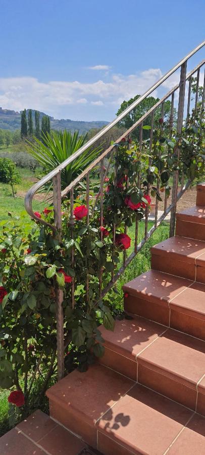 Casa Vacanze Cerreto 3 Miglianico المظهر الخارجي الصورة